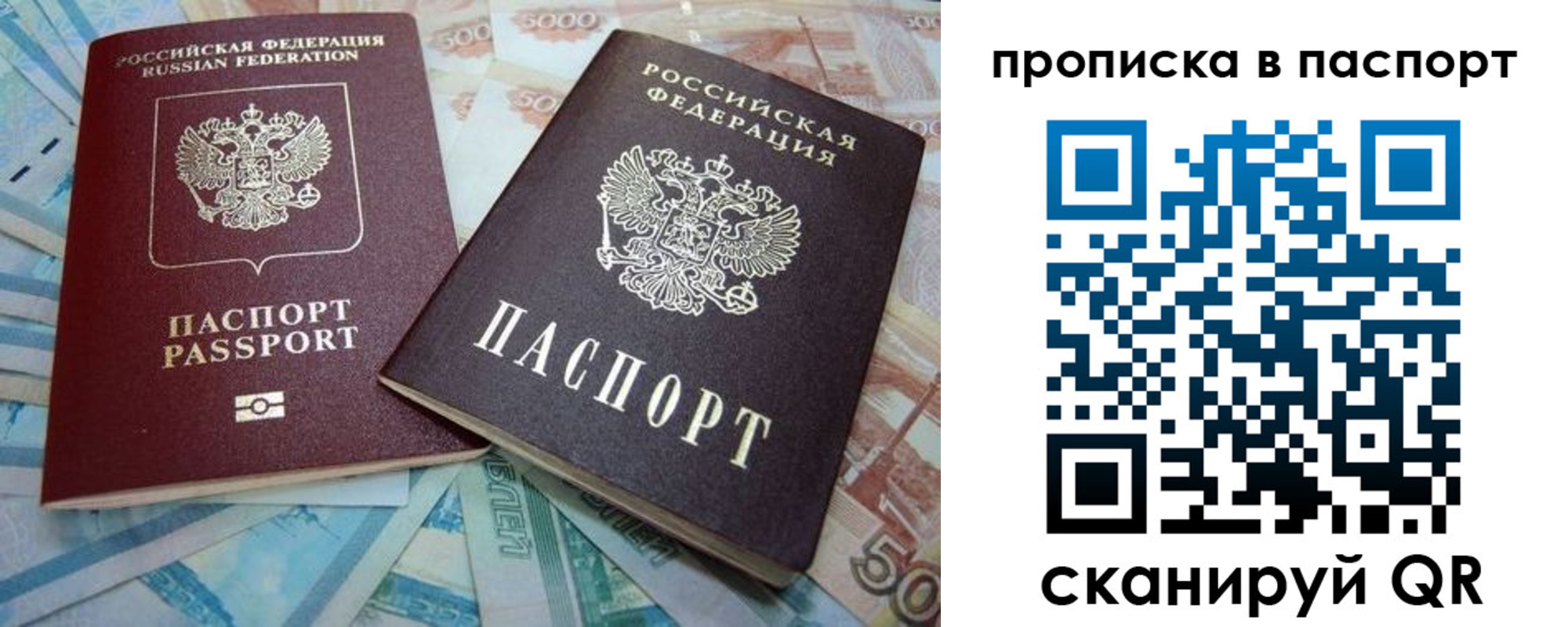 прописка поиск в Ногинске